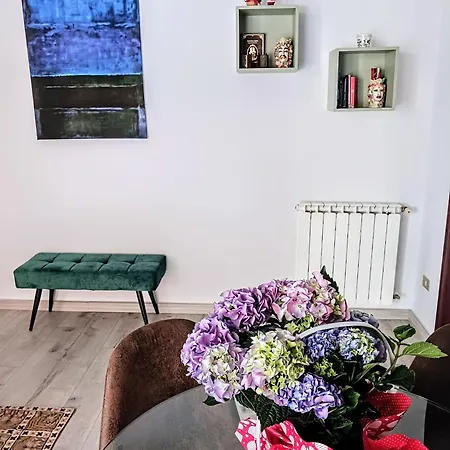 Apartment Mungi Bay, Flat With Sea View Roof Terrace *